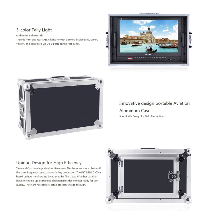 SEETEC P173-9HSD-CO Monitor De Campo Profesional 17,3 Pulgadas SDI HDMI 4K