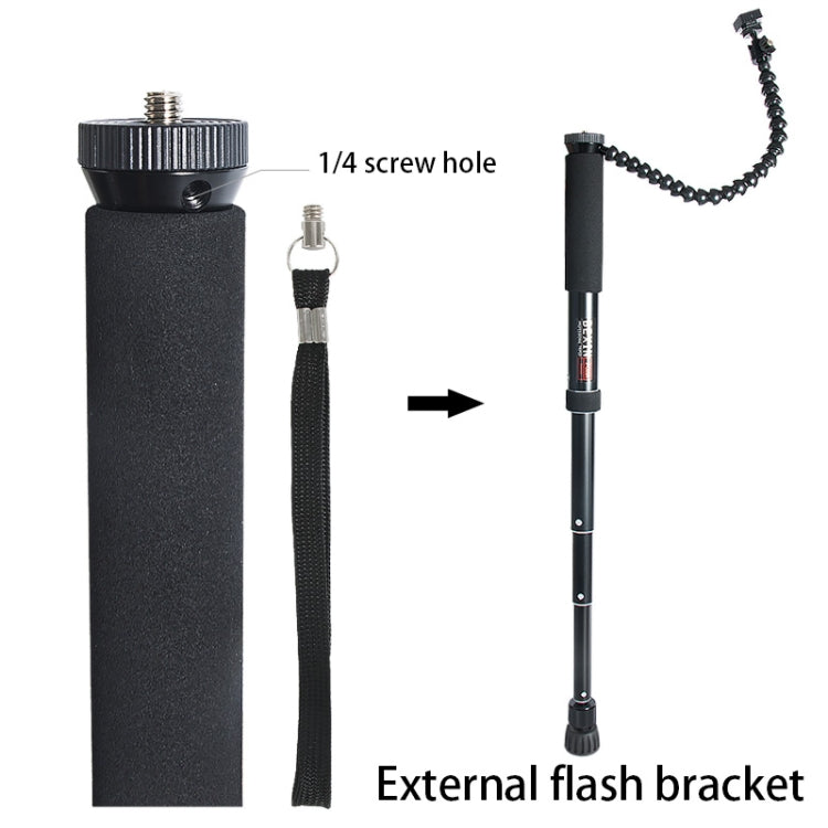BEXIN P308 Monopié Soporte DSLR Extensible 160 Cm Portátil