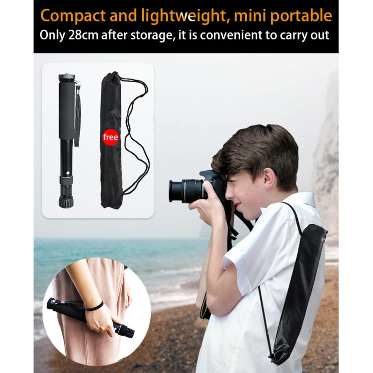 BEXIN P308 Monopié Soporte DSLR Extensible 160 Cm Portátil