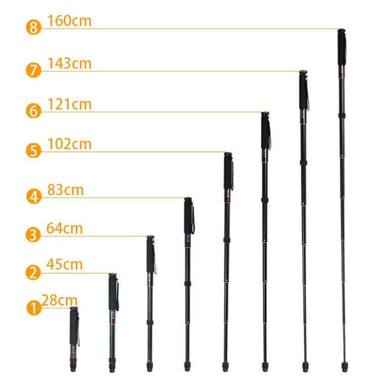 BEXIN P308A Monopié De Aluminio Para Cámara DSLR 160 cm