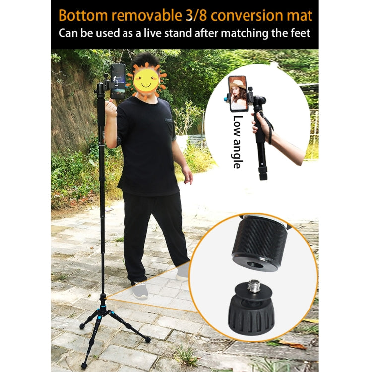 BEXIN P308B Soporte Monopié Para Cámara DSLR Altura 160 Cm