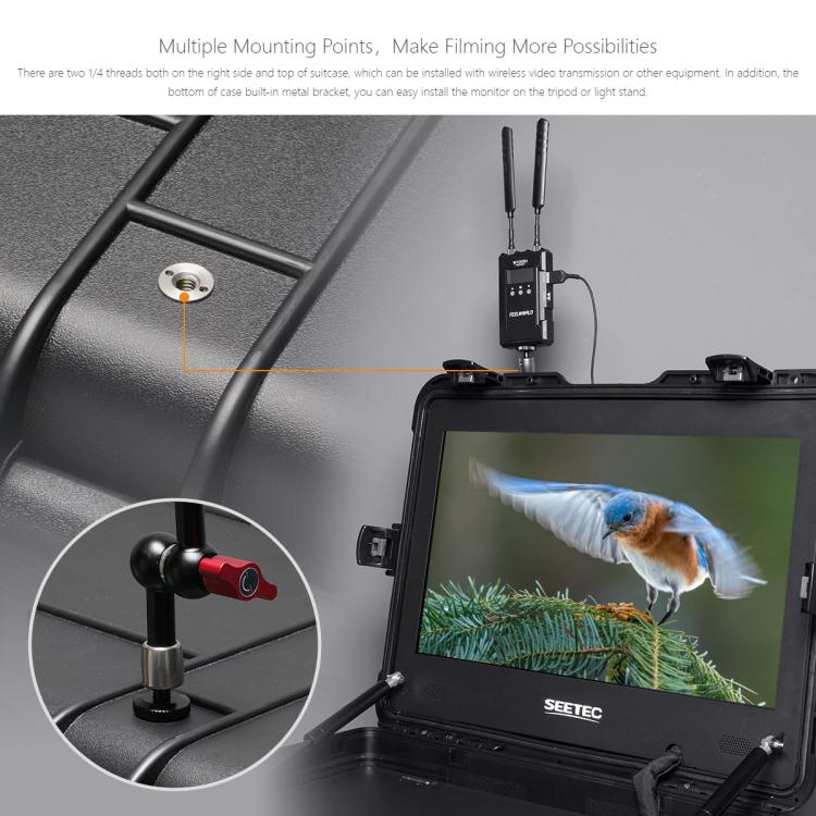 SEETEC WPC215 Monitor De Director 21.5 1000 Nits Pro