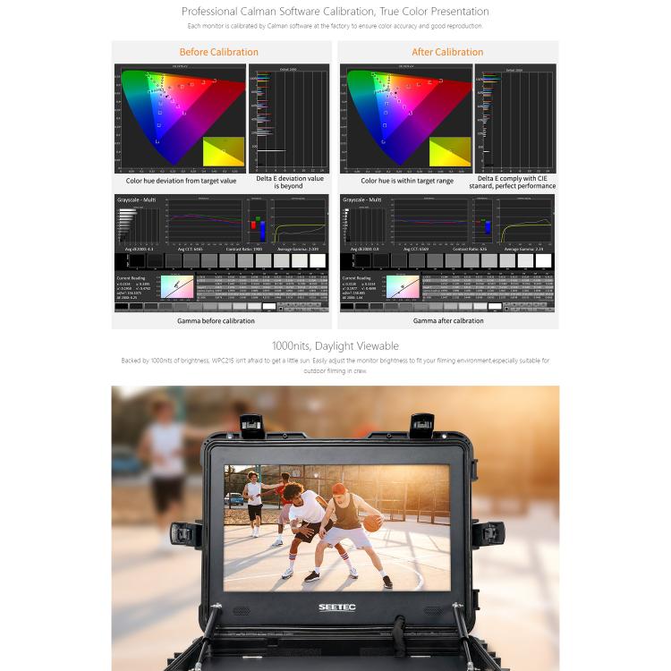 SEETEC WPC215 Monitor De Director 21.5 1000 Nits Pro