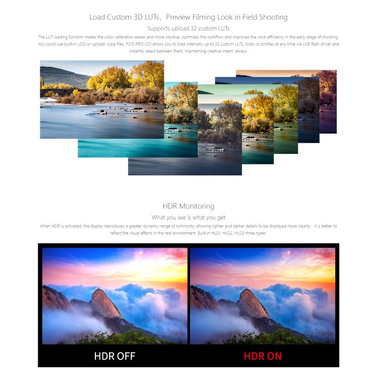 Seetec P215 PRO-CO Monitor Brillo 1000 Nits 21.5 Pulgadas