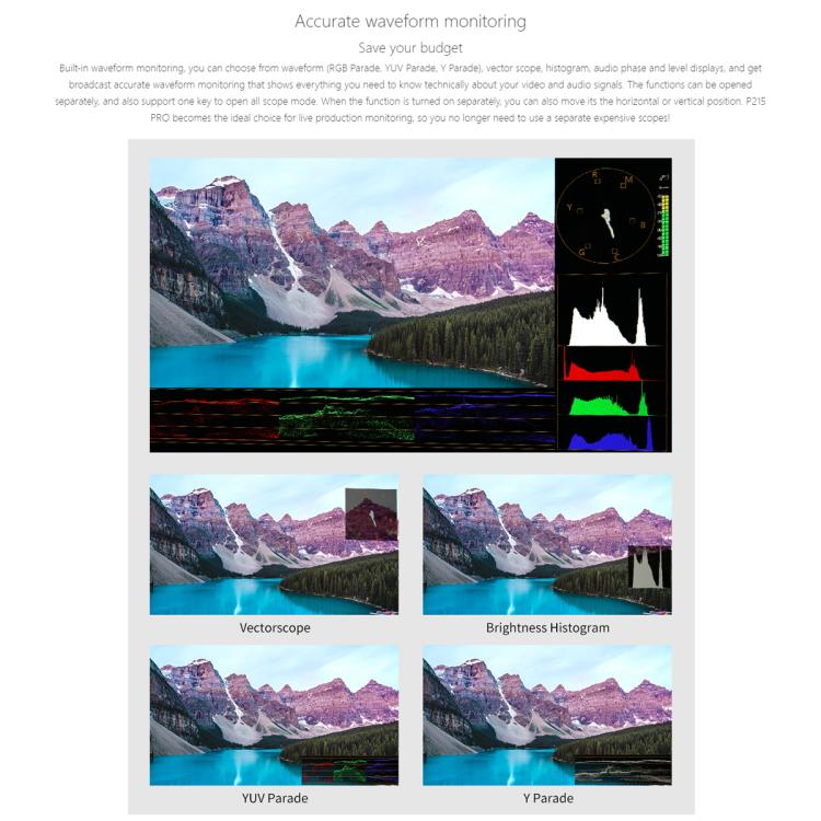 SEETEC P215 PRO Monitor Transmisión 21,5 Pulgadas 1000 Nits Profesional