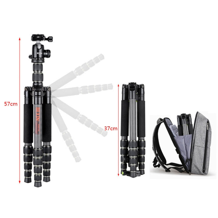 BEXIN BX285C K36 Trípode Portátil de Fibra de Carbono