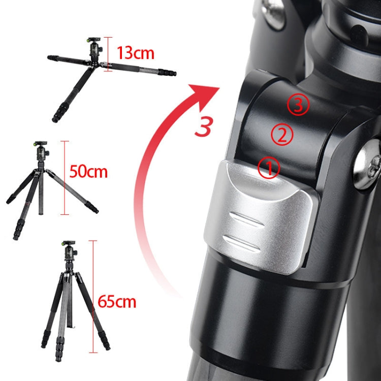 BEXIN W324C G44 Trípode Cámara DSLR Fibra De Carbono 20kg
