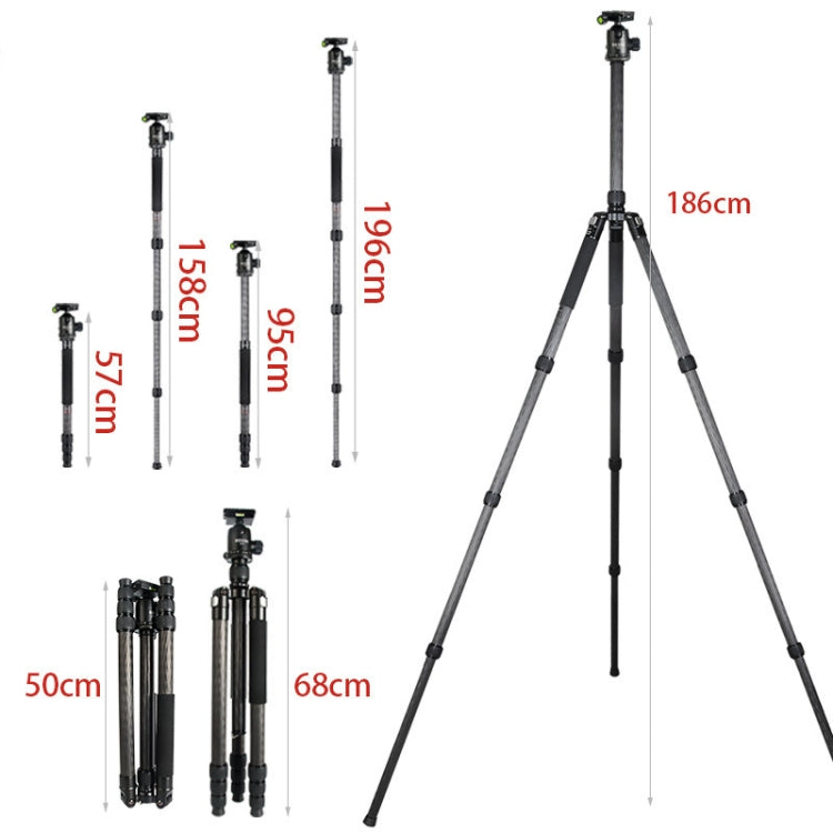 BEXIN W324C G44 Trípode Cámara DSLR Fibra De Carbono 20kg