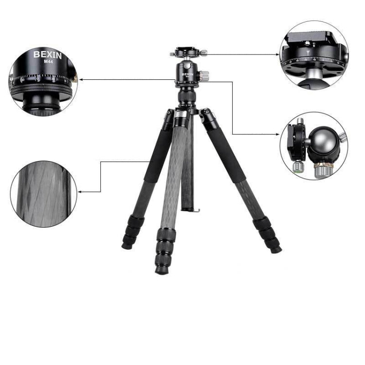 BEXIN W324C M44 Trípode de 20 kg para Cámaras DSLR Pro