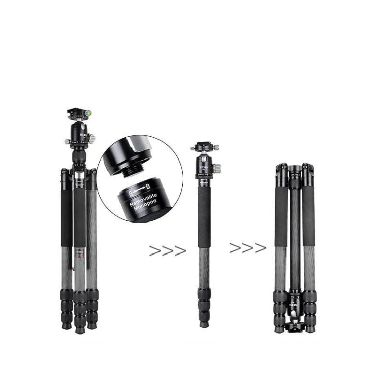 BEXIN W324C M44 Trípode de 20 kg para Cámaras DSLR Pro