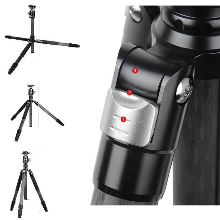 BEXIN W324C M44 Trípode de 20 kg para Cámaras DSLR Pro