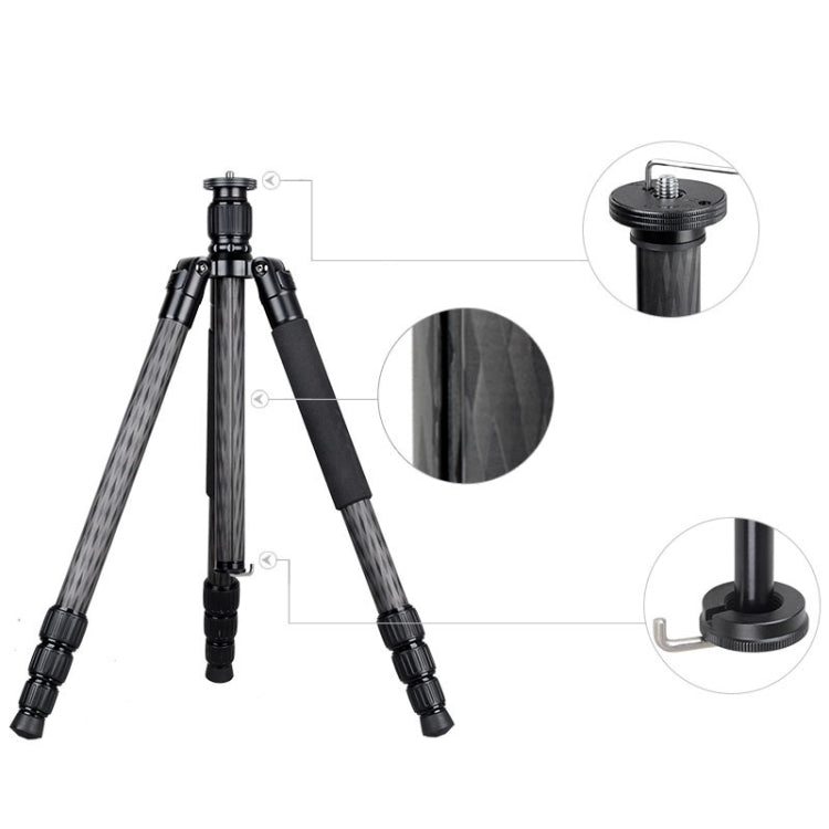 BEXIN W284C H36 Trípode Fotográfico Fibra de Carbono