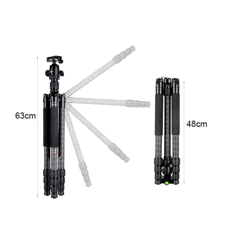 BEXIN W284C H36 Trípode Fotográfico Fibra de Carbono