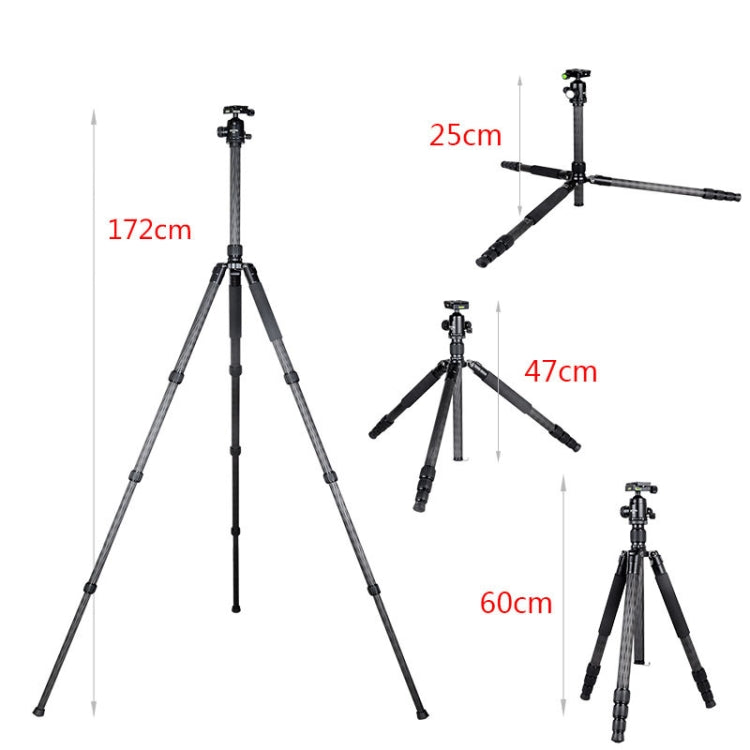 BEXIN W284C H36 Trípode Fotográfico Fibra de Carbono