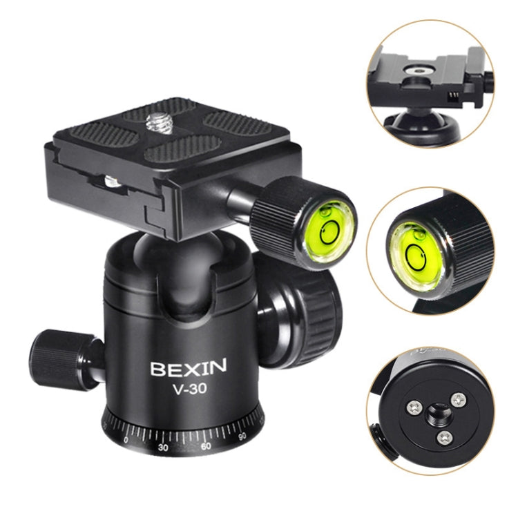 BEXIN W284C H36 Trípode Fotográfico Fibra de Carbono