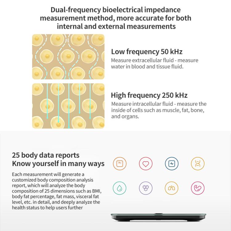 Xiaomi Mijia S400 Pro Báscula de Grasa Corporal Bluetooth 5.1