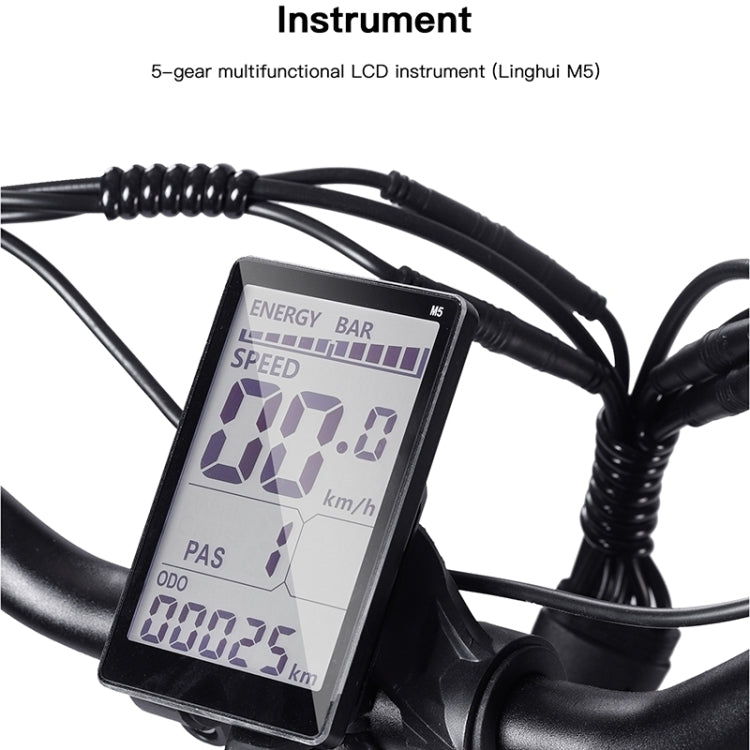 Bezior XF001 Bicicleta Eléctrica Retro Pantalla LCD