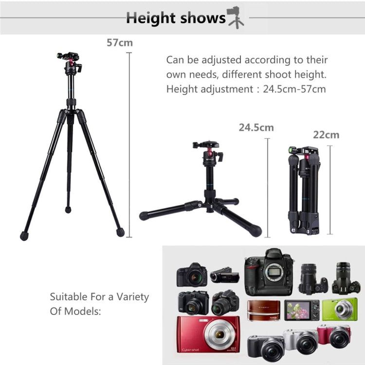 PULUZ Pocket Mini Microspur Trípode Rótula 360 Grados