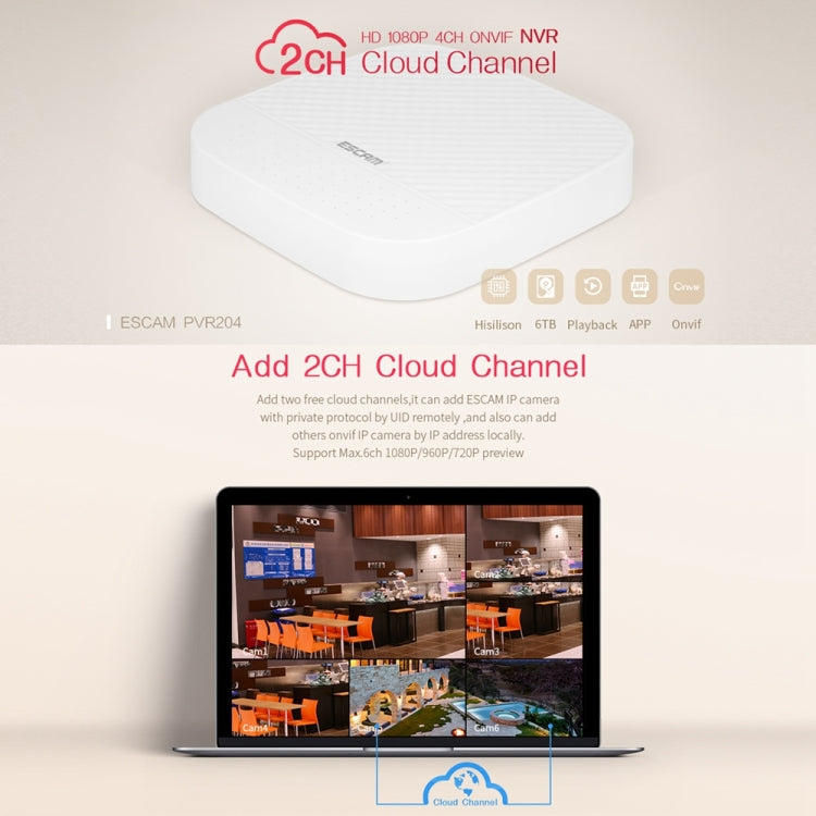 ESCAM PVR204 NVR Grabador De Video Digital Nube 2CH