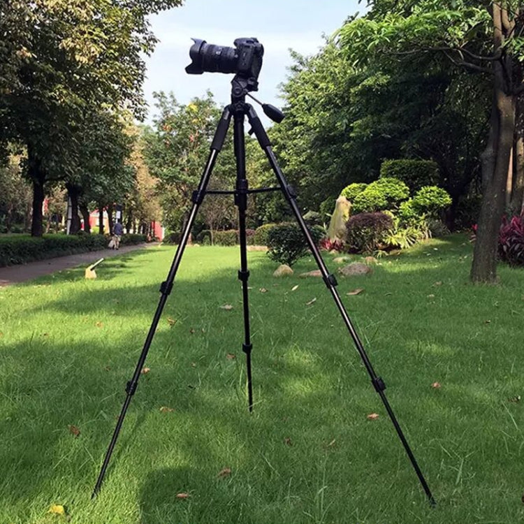 QingZhuangShiDai Q111 Trípode de Fotografía para Móvil Estabilidad Mejorada