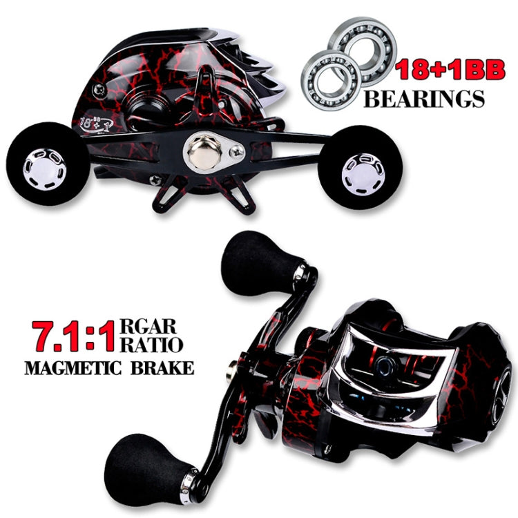 PROBEROS Rueda Deslizante Metálica 18+1 Axis Freno 10 Kg