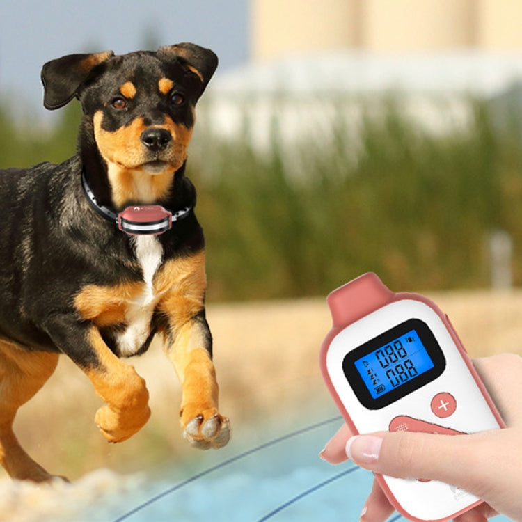 PaiPaitek PD523 Entrenador de Perros a Distancia 1000m