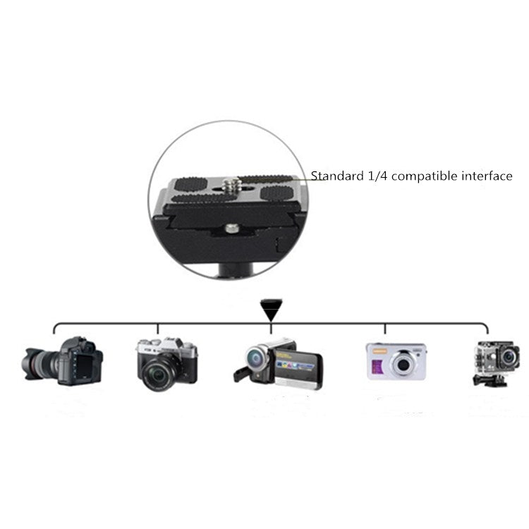 BEXIN Cabeza de Bola 30mm Trípode 360 Grados Fotografía