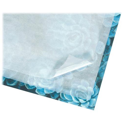 Lineco 448-1626 Hojas de Glassine 16x20 Pulg Acid-Free 12 Pack