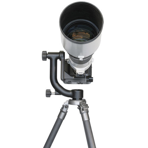 Wimberley WH-200 Cabezal de Trípode Gimbal con Base de Liberación Rápida 3 15 lb Arca-Type Compatible
