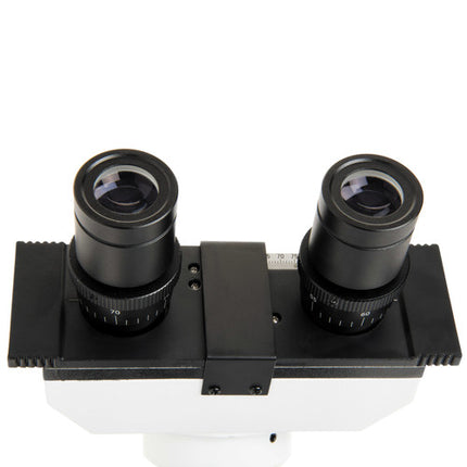 CELESTRON LABS CB2000CF Microscopio Compuesto Binocular con Objetivos 4x a 100x y Platina Mecánica 4.3 x 4.7 pulgadas
