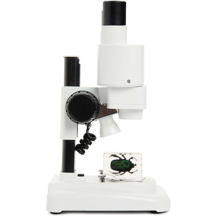 CELESTRON LABS S20 Microscopio 20x 2.76 Pulgadas Iluminación LED