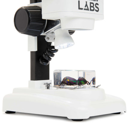 CELESTRON LABS S20 Microscopio 20x 2.76 Pulgadas Iluminación LED