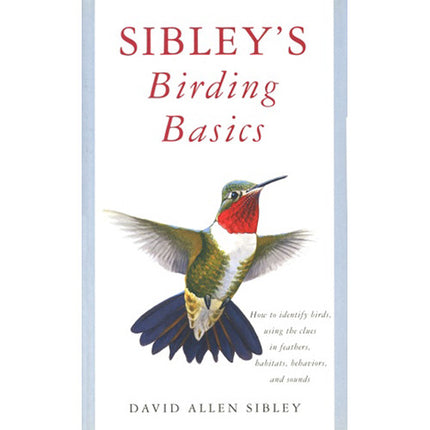 Sibley Guides Birding Basics Guía de Observación de Aves 168 Páginas