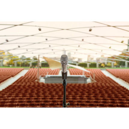 Shure KSM8/N Dualdyne Micrófono Vocal Dinámico Mano Cardioide Nickel