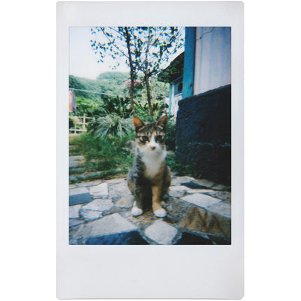 Lomography Lomo'Instant Cámara Instantánea con 3 Lentes y Flash 27mm