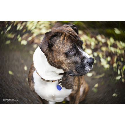 Lensbaby Fixed Body Twist 60mm f2.5 para Sony E con Control Manual