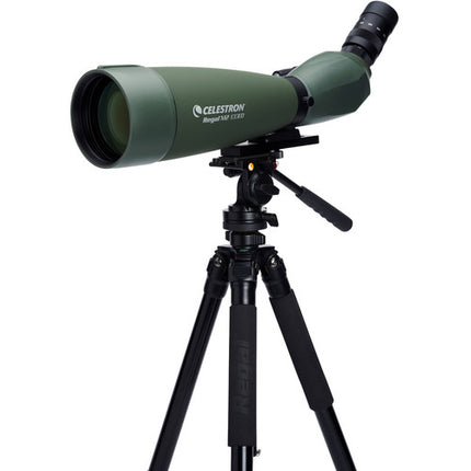 Celestron Regal M2 100ED Tubo de Observación 22-67x Nitrogenado Resistente al Agua