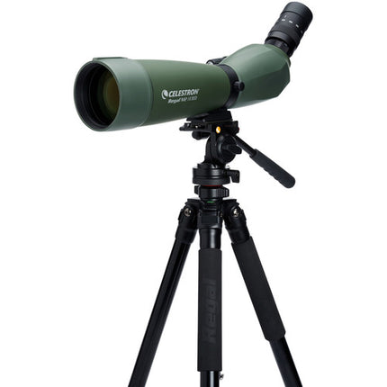 Celestron Regal M2 80ED Telescopio terrestre 20-60x ópticas multicapa impermeable