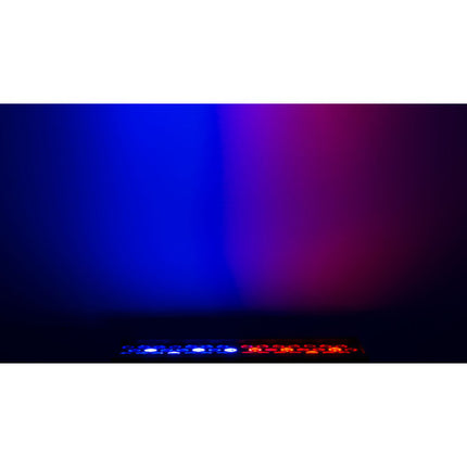 CHAUVET Professional Ovation B-565FC RGBA-L Luz LED tipo batten con filtro y cable Neutrik