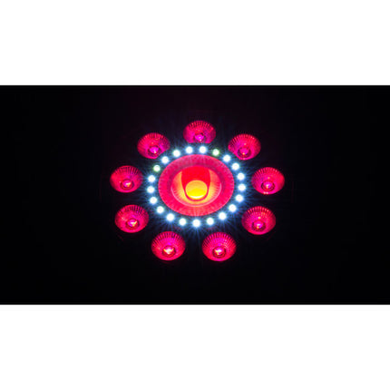 CHAUVET DJ FXpar 9 Luz LED Multi Efectos con 25° Ángulo y Soporte