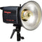 Flashes Monolight