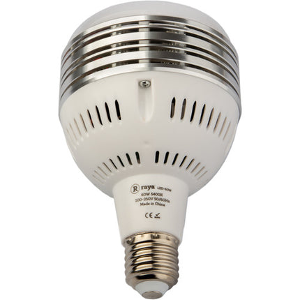 Raya 60W LED Bombilla para Estudio Luz Día 5400K 4200 Lúmenes E26
