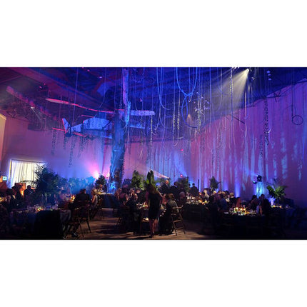 CHAUVET DJ EVE F-50Z Proyector Fresnel LED 50W 3500K barndoor gel frame