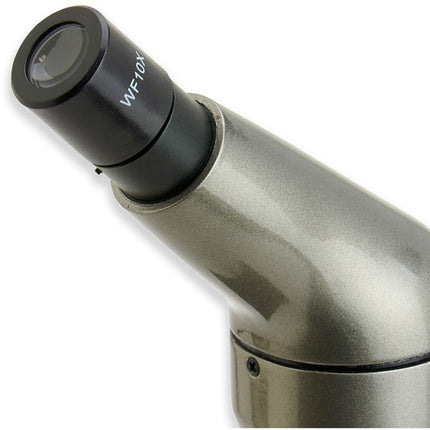 Carson MS-040 Microscopio Monocular Biológico 40x 100x 400x