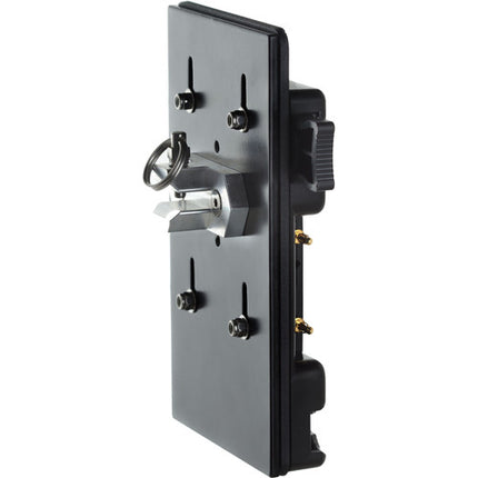 HIVE LIGHTING Battery Plate Gold Mount con Salida D-Tap y Placa Trasera Metálica