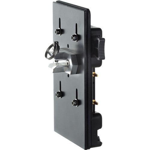 HIVE LIGHTING Battery Plate Gold Mount con Salida D-Tap y Placa Trasera Metálica