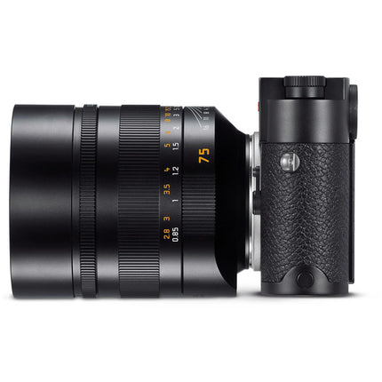 Leica Noctilux-M 75mm f/1.25 ASPH Lente Full Frame con Parasol Extensible