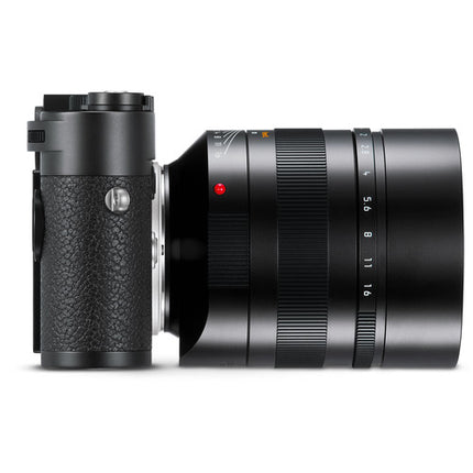 Leica Noctilux-M 75mm f/1.25 ASPH Lente Full Frame con Parasol Extensible