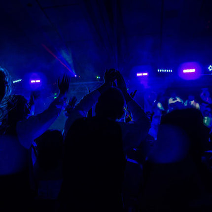American DJ UV LED BAR20 IR Backlight Luz de fondo UV 20 LEDs 10°x40° ángulo beam con control remoto inalámbrico