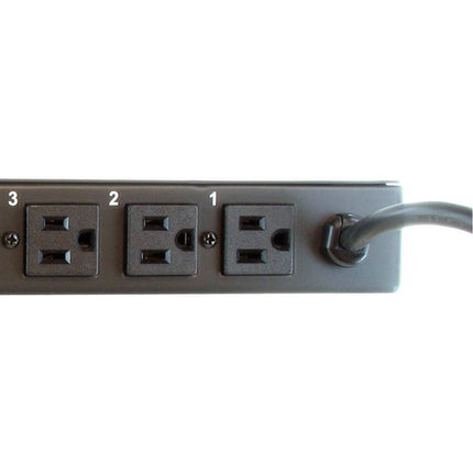 A-Neutronics Regleta de Alimentación 10 Salidas 120V 15A 19" Rackmount